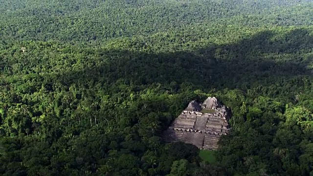 伯利兹:卡拉科尔玛雅神庙视频下载