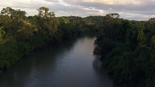 伯利兹:Macal河视频素材