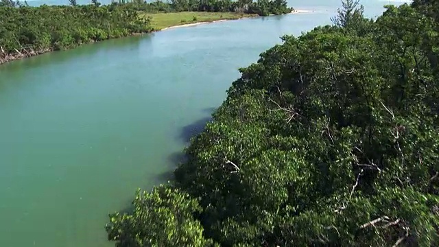 伯利兹:南泻湖和加勒比海之间的河流视频素材