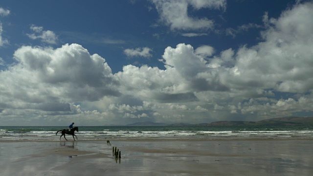 纯种马和骑手在水中奔跑在罗斯贝海滩，县克里，爱尔兰，戏剧性的云视频下载