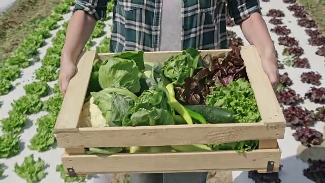 一位女农民扛着满满一箱的农产品在阳光明媚的田野里视频下载