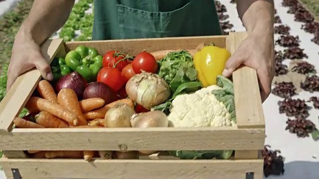 一个人提着装着蔬菜的木箱穿过田野视频素材