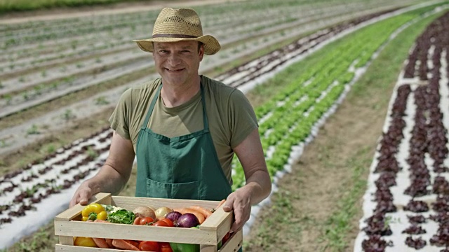 一位男性农民抱着满满一箱蔬菜的肖像视频素材