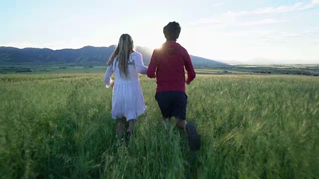 日落时分，一对年轻夫妇在田野里奔跑的背影视频下载