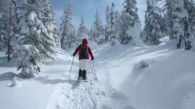 穿着雪鞋在冬季森林景观中行走的女人视频素材