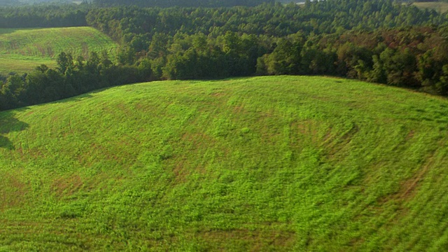 从空中俯瞰田野和房子，背景是森林/格林维尔，南卡罗来纳州视频素材