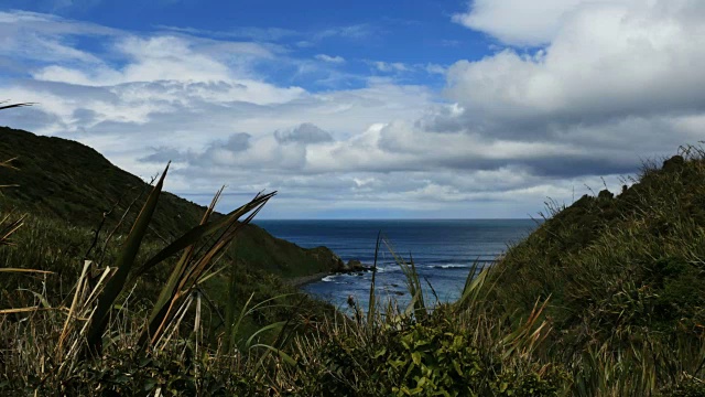 从纽格特角公路看海湾的新西兰景色视频素材