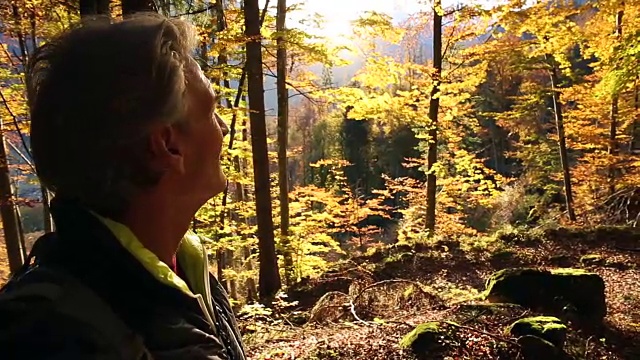 秋天，男性徒步旅行者穿过山林视频素材