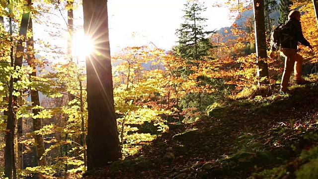 秋天，男性徒步旅行者穿过山林视频下载
