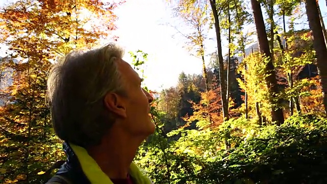 秋天，男性徒步旅行者穿过山林视频素材