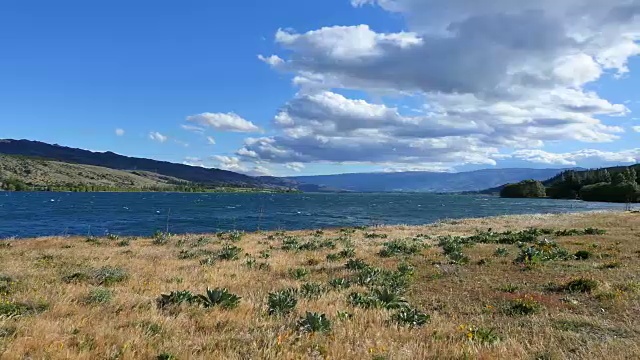 新西兰草在湖邓斯坦潘视频素材