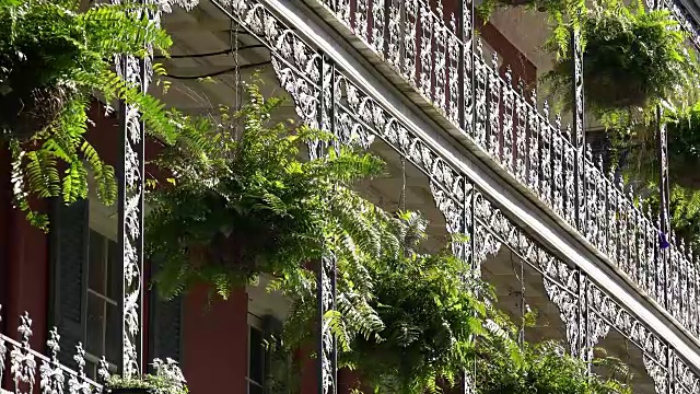 新奥尔良法国区建筑，以锻铁阳台和蕨类植物为特色视频下载