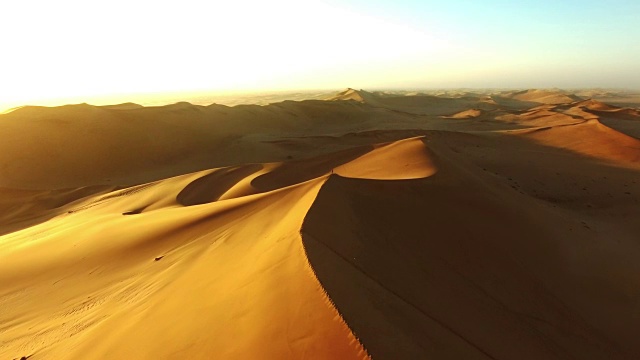 徘徊在沙漠的沙中视频下载