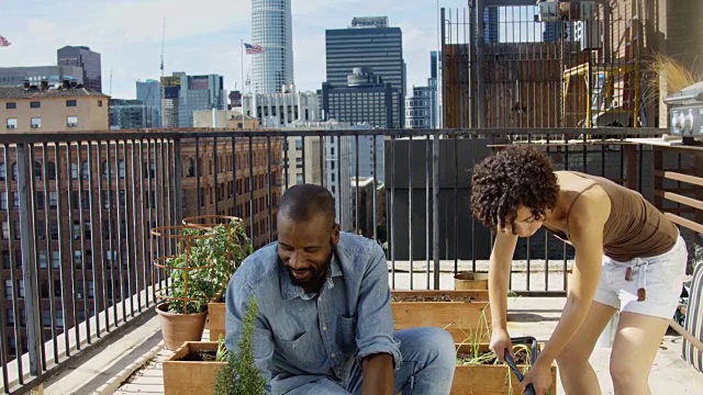 男人和女人在阳台上种植草药-鹤射视频下载
