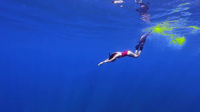 自由潜水者在蓝色的水中潜水视频素材