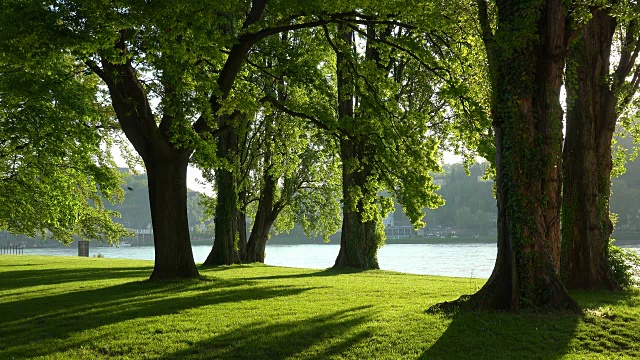 德国莱茵兰-普法尔茨科布伦茨莱茵河岸边的公园视频下载