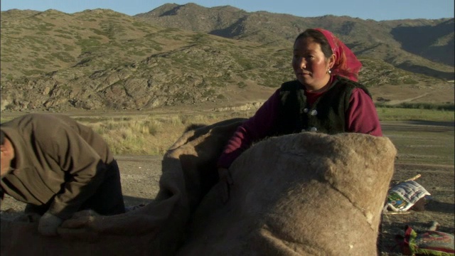 中国新疆卡拉麦里自然保护区，哈萨克族男女将织物包裹在驼峰上视频下载