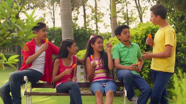 印度德里，五个十几岁的男孩和女孩在公园里吃冰淇淋视频素材