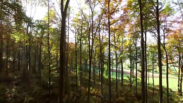 航拍森林里的绿树。自然生态环境景观视频下载