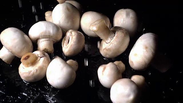 蘑菇下落的慢动作视频下载