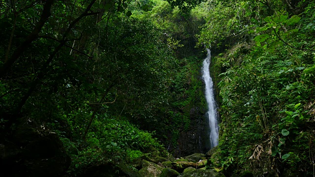 泰国森林深处的瀑布。视频素材