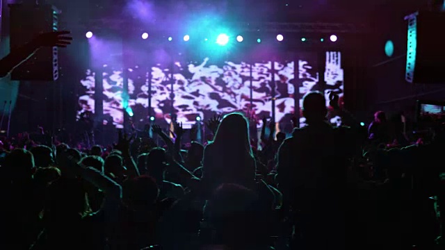 SLO MO DS人们在音乐会上跳舞视频素材
