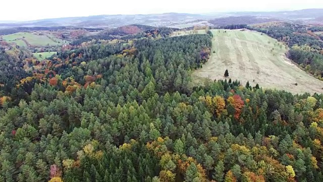 秋天森林的鸟瞰图。相机在松树和枫树上空飞行视频素材