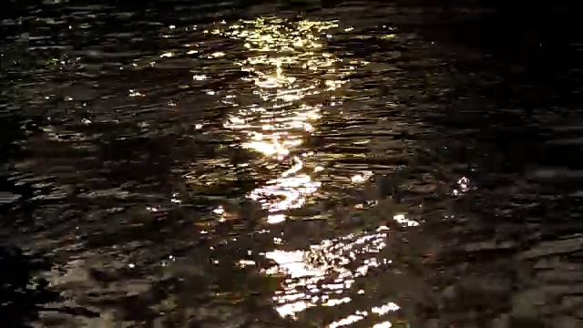 闪烁的水视频素材
