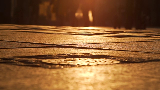 莫慢:夕阳中的漫步者视频素材