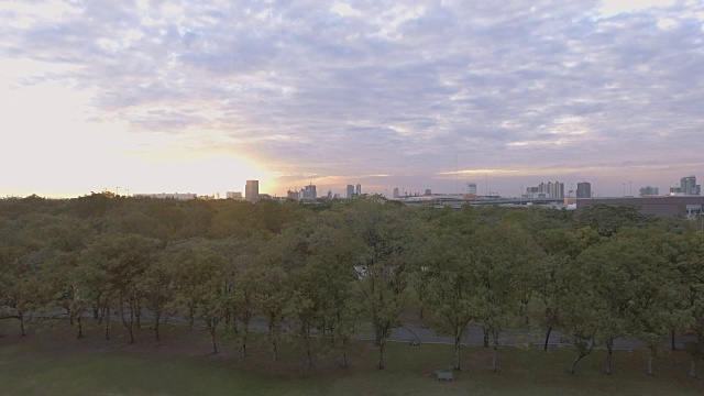 城市公园的日落视频下载