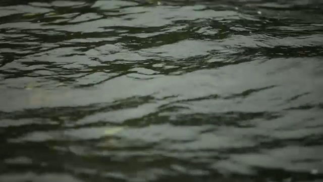 暗水上的涟漪视频素材