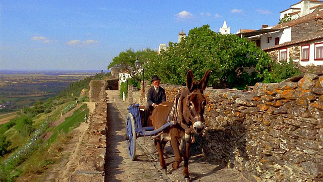 葡萄牙蒙萨拉兹村的道路上，骑着驴拉着车的老人视频素材