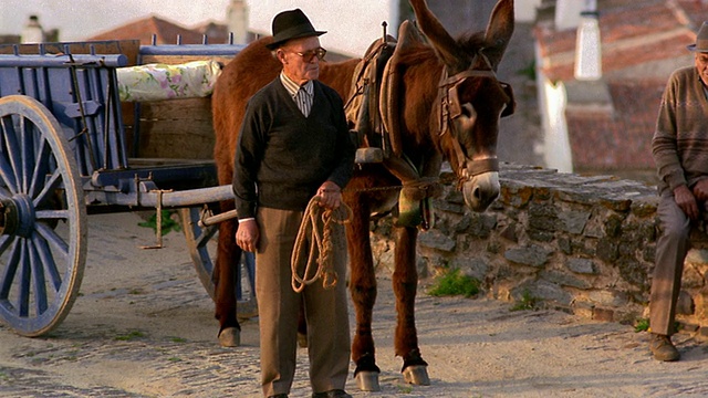 宽镜头从农村到3名老年人与驴车在村庄道路上摆姿势/蒙萨拉兹，葡萄牙视频素材
