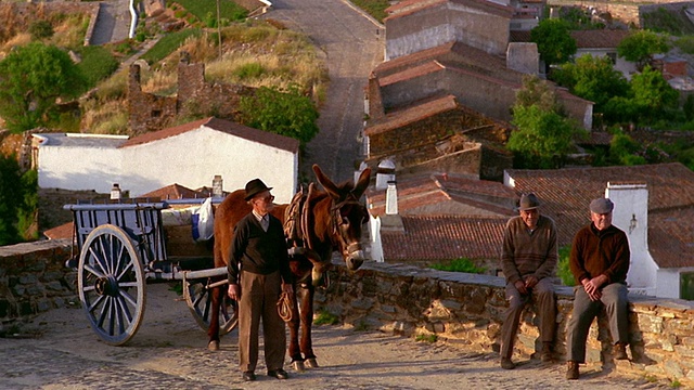 在葡萄牙蒙萨拉兹的道路/村庄中，三名老人与驴车合影视频素材