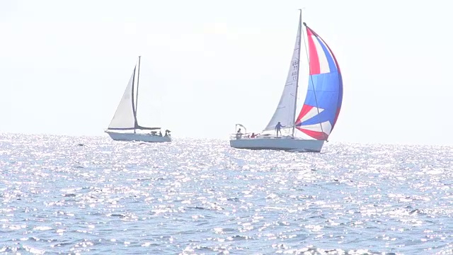 地平线上的帆船视频下载