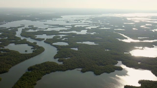 美国佛罗里达大沼泽地国家公园的WS鸟瞰图视频素材