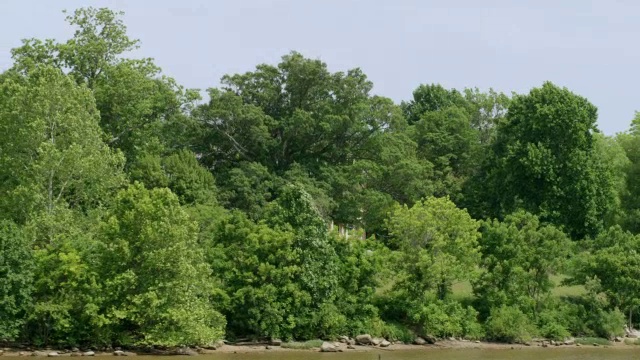 WS AERIAL POV雪莉种植园周围的树，詹姆斯河在前景/查尔斯城，弗吉尼亚州，美国视频素材