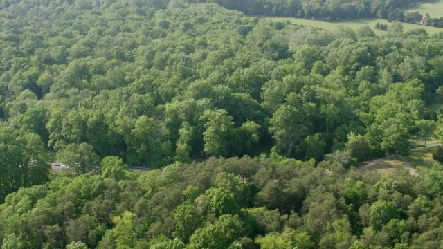 美国弗吉尼亚州马纳萨斯，布尔溪石桥和森林区域高架路上行驶的汽车视频素材