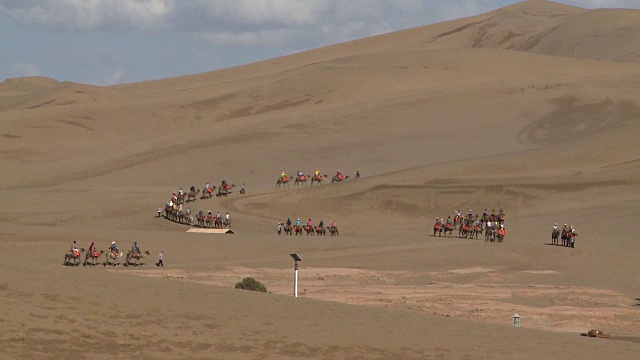 骆驼骑在戈壁沙漠的边缘视频下载