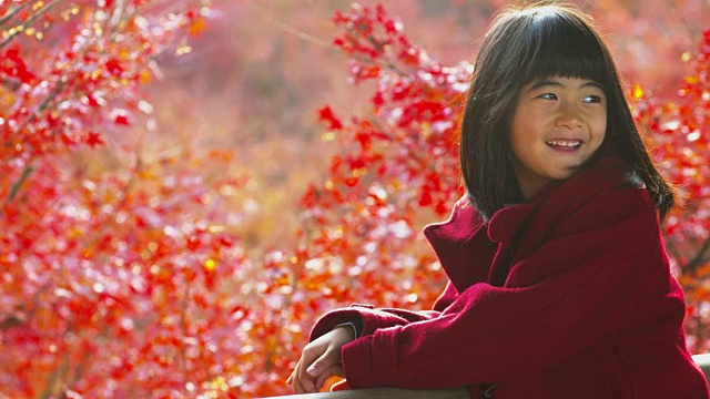 小女孩在日本观赏秋叶视频下载