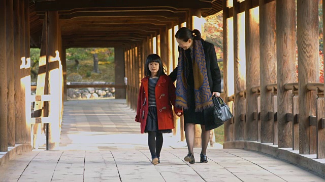 母亲和女儿穿过日本寺庙视频素材