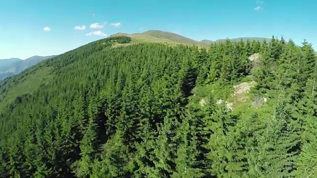 美丽的松树和山丘，鸟瞰图视频素材