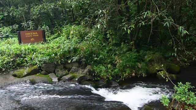 夏威夷考艾岛海纳州立公园在热带雨林北岸标志4K视频素材