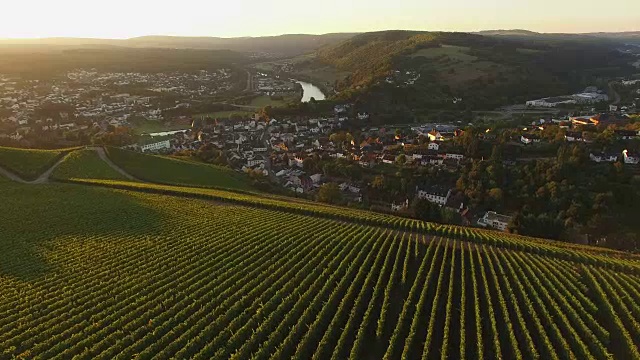 无人机飞过秋天的葡萄园，萨尔堡，萨尔谷，莱茵兰-普法尔茨，德国视频素材