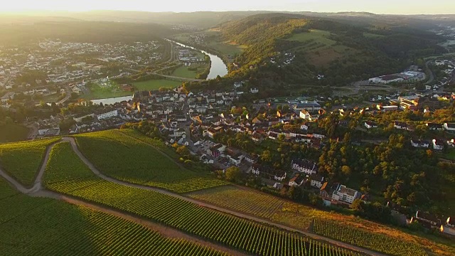 无人机飞过秋天的葡萄园，萨尔堡，萨尔谷，莱茵兰-普法尔茨，德国视频素材