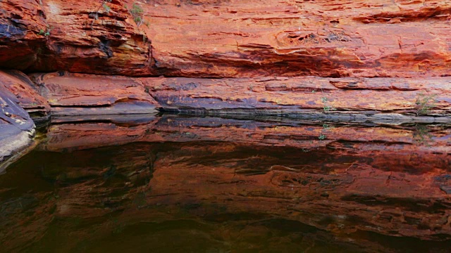 在国王峡谷的伊甸园水坑，北领地，澳大利亚视频素材