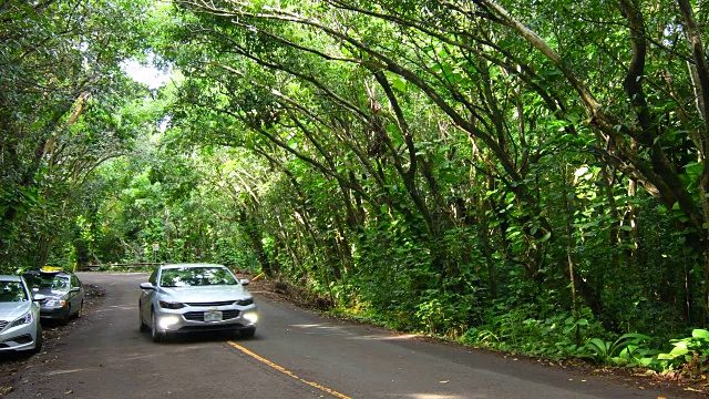 夏威夷考艾岛海纳州立公园与汽车在热带雨林北岸道路上行驶4K视频素材