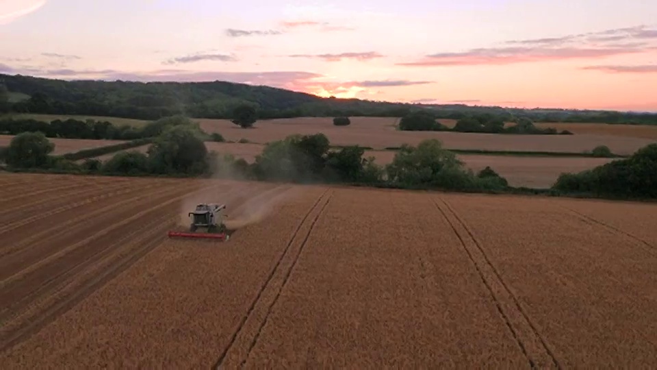 联合收割机和美丽的紫色日落的无人机镜头，英国视频下载