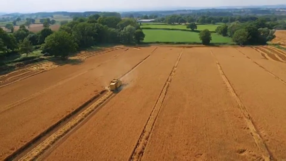 英国联合收割机的低空无人机镜头视频下载