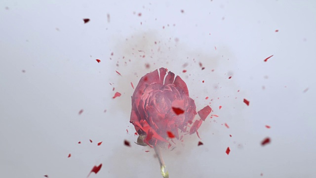 SLO MO冰冻红玫瑰爆炸视频素材